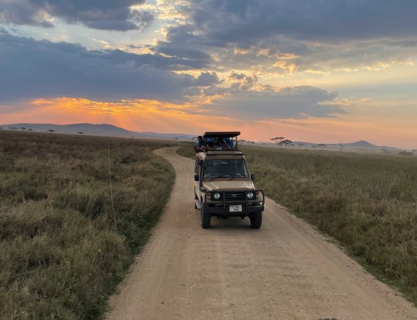 kilimandzaro-epic-expedition-tanzania-safari (1)